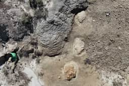 Professora encontra pegadas de T. rex e revela passada inédita de 4 metros