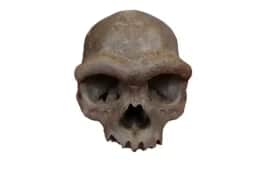Molares de denisovanos encontrados em caverna na China revelam a vida desses parentes humanos