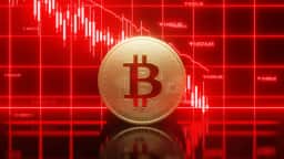 Liquidações de US$ 1,53 bi atingem investidores alavancados após Bitcoin cair a US$ 76.368