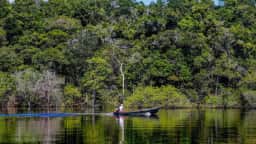 Amazônia evitou 1,2 bilhão de toneladas de gases de efeito estufa, calcula físico