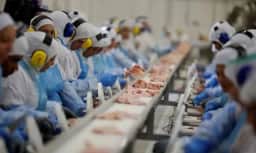 Abiec afirma que fim da escala 6×1 elevará custos e encarecerá a carne