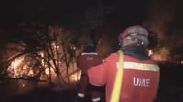 Incêndio florestal assola cidade próxima de Madri