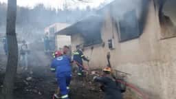 Incêndio florestal em Salamina, Grécia, deixa duas vítimas fatais e destrói casas