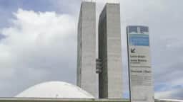 Veterinária atacada por cão do Senado morre após quatro dias internada em Brasília