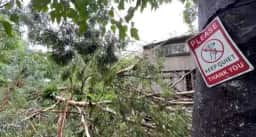 Mais de 120 mil moradores seguem sem energia no Havaí após furacão Lala causar inundações