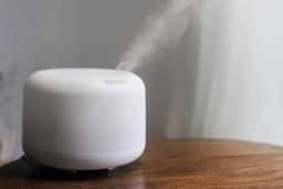 Umidificadores: Qual o melhor aparelho para sua casa?