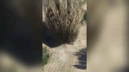 Vídeo: Mina da Segunda Guerra Mundial é detonada no Rio Danúbio, na Eslováquia