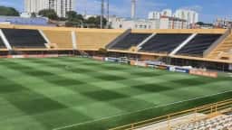 São Bernardo x Botafogo-SP: horário e onde assistir ao jogo da Série B nesta sexta-feira