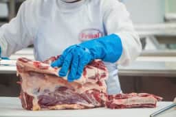 Abate de bovinos no Brasil cai 21,6% em julho de 2026, mas preços começam a se recuperar