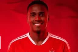 Internacional anuncia contratação do atacante sueco Niclas Eliasson por empréstimo do AEK