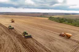 VBP do Paraná atinge R 213 bilhões em 2025, estabelecendo novo recorde histórico