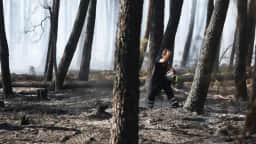 Incêndios florestais forçam evacuação de milhares na França e Alemanha em meio a clima extremo