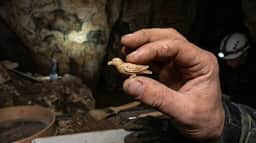 Esculturas de pássaros milenares revelam precisão artística europeia em descoberta alemã
