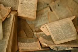 Destruição em massa de livros raros para treinar IAs gera preocupações sobre patrimônio cultural
