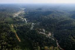 Amazônia registra redução de 36% no desmatamento entre agosto de 2025 e julho de 2026