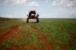 Especialista aponta que aumentar produção interna de fertilizantes é essencial para Brasil em 2026