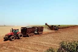 Agroterenas capta R 160 milhões para transformar pastagens degradadas em cana-de-açúcar