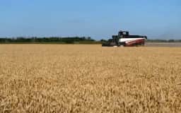 Sistema alimentar global demonstra resiliência diante do super El Niño em 2026