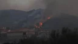 Bombeiros combatem incêndio florestal que avançou em direção a casas na Albânia