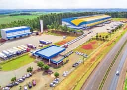 Exportações de frango batem recorde no 1º semestre com 2,4 mi de toneladas