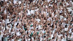 Palmeiras formaliza pedido para liberar 10% de visitantes na Libertadores