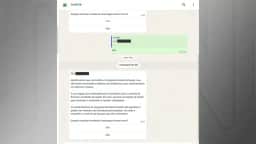 Governo Lula usa WhatsApp para divulgar CNH do Brasil, Celular Seguro e vacinação