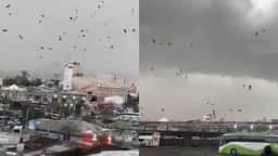 O que é gustnado, redemoinho que destelhou rodoviária em Santiago e já foi visto no Paraná