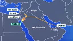 Piloto da Flydubai esfaqueia colega e tenta derrubar avião com destino a Israel