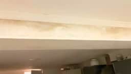 Diagnóstico da umidade evita gastar com pintura ou reforma que não elimina a causa do mofo