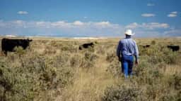 EUA projetam pagamento recorde de US 13,8 bilhões a agricultores em 2025
