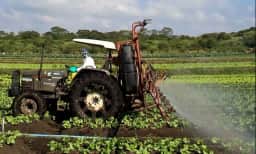 Brasil foi o segundo maior destino de agrotóxicos proibidos na UE em 2024