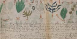 Manuscrito Voynich resiste há mais de 100 anos às tentativas de decifração, até por IA