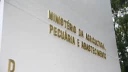 Brasil pede à China que restrinja embargo de aves a quatro municípios de SC