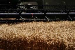 Trump anuncia US$ 8 bilhões para agricultores comprarem combustível nos EUA