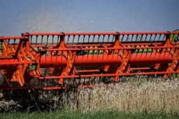 Só 23,2% do trigo atingem PH mínimo para farinha Tipo 1, ante 72% em 2025
