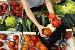 EUA apostam US$ 86,6 milhões em frutas e hortaliças e ampliam mercado